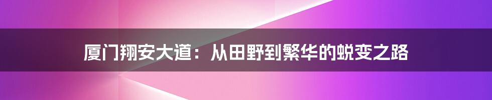 厦门翔安大道：从田野到繁华的蜕变之路