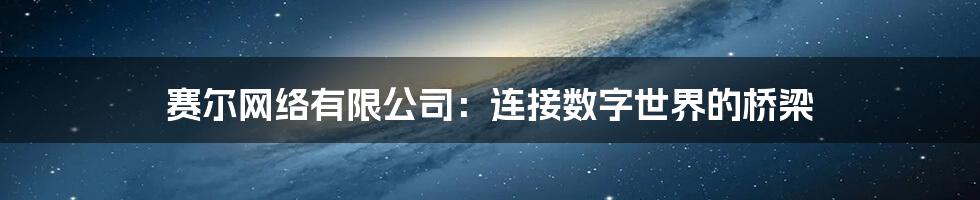 赛尔网络有限公司：连接数字世界的桥梁