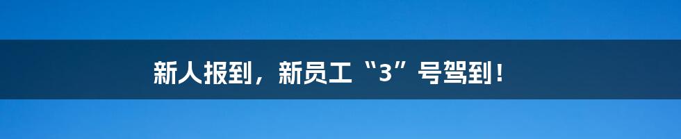 新人报到，新员工“3”号驾到！