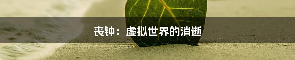 丧钟：虚拟世界的消逝