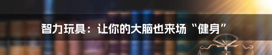 智力玩具：让你的大脑也来场“健身”