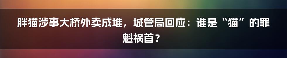 胖猫涉事大桥外卖成堆，城管局回应：谁是“猫”的罪魁祸首？