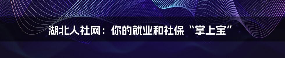 湖北人社网：你的就业和社保“掌上宝”