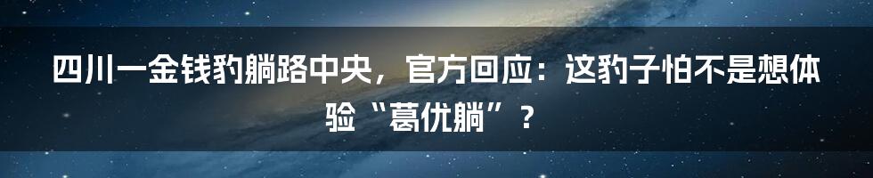 四川一金钱豹躺路中央，官方回应：这豹子怕不是想体验“葛优躺”？