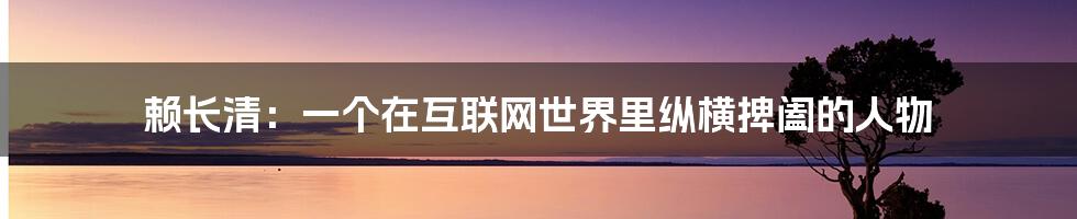 赖长清：一个在互联网世界里纵横捭阖的人物