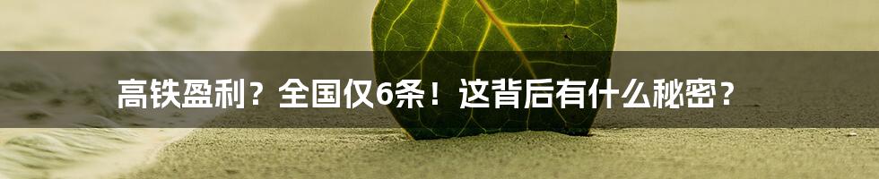 高铁盈利？全国仅6条！这背后有什么秘密？