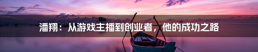 潘翔：从游戏主播到创业者，他的成功之路