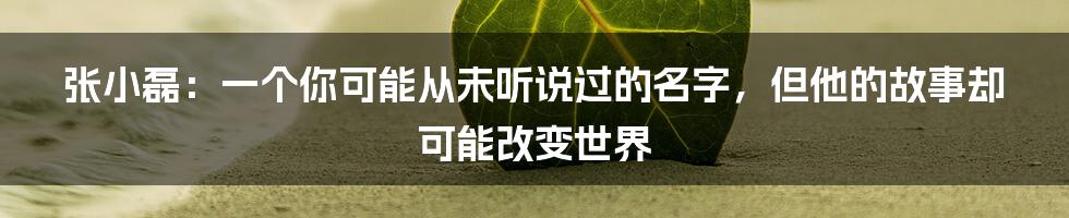 张小磊：一个你可能从未听说过的名字，但他的故事却可能改变世界