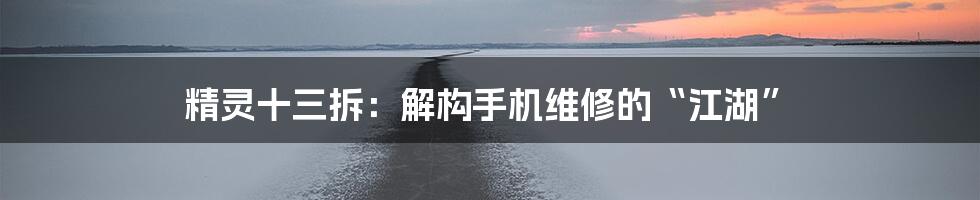 精灵十三拆：解构手机维修的“江湖”