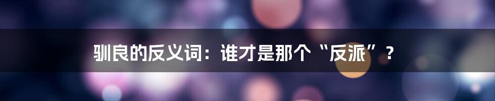 驯良的反义词：谁才是那个“反派”？