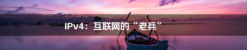 IPv4：互联网的“老兵”