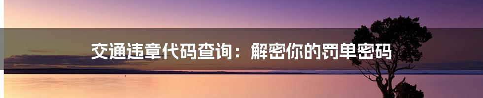 交通违章代码查询：解密你的罚单密码