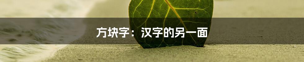 方块字：汉字的另一面