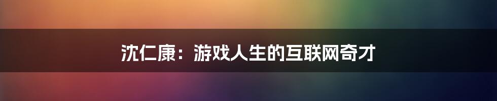 沈仁康：游戏人生的互联网奇才