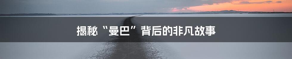 揭秘“曼巴”背后的非凡故事