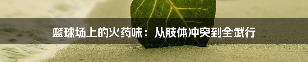 篮球场上的火药味：从肢体冲突到全武行