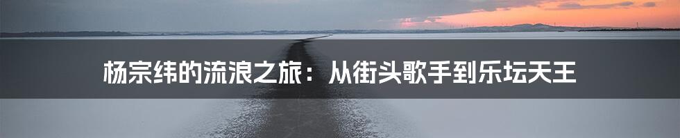 杨宗纬的流浪之旅：从街头歌手到乐坛天王