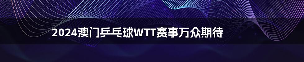 2024澳门乒乓球WTT赛事万众期待