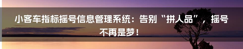 小客车指标摇号信息管理系统：告别“拼人品”，摇号不再是梦！