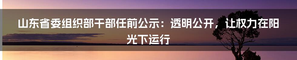 山东省委组织部干部任前公示：透明公开，让权力在阳光下运行