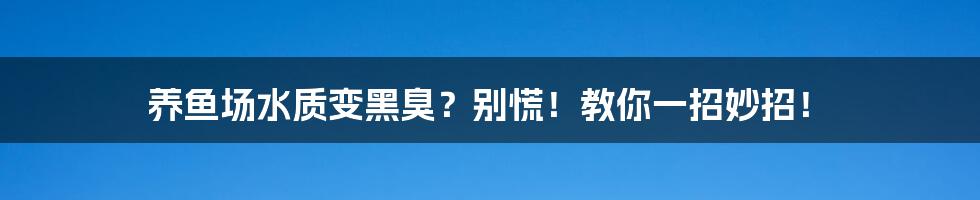 养鱼场水质变黑臭？别慌！教你一招妙招！