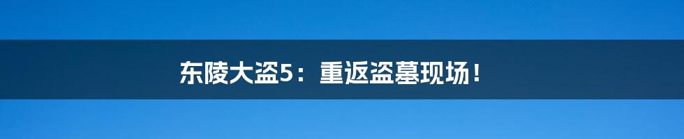 东陵大盗5：重返盗墓现场！