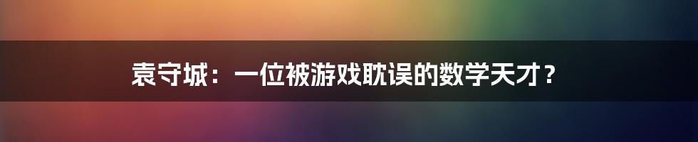 袁守城：一位被游戏耽误的数学天才？