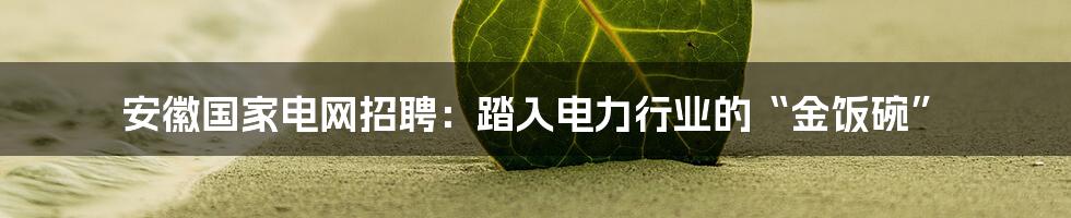 安徽国家电网招聘：踏入电力行业的“金饭碗”