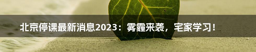 北京停课最新消息2023：雾霾来袭，宅家学习！