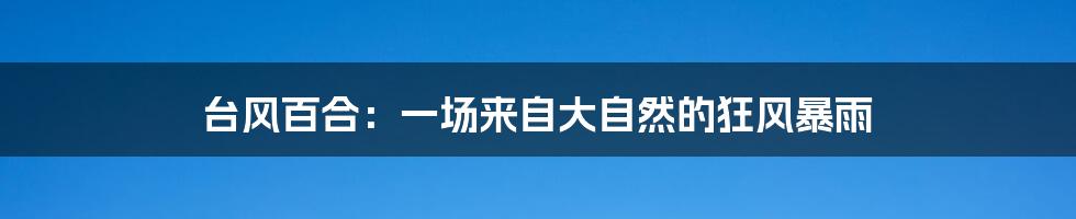 台风百合：一场来自大自然的狂风暴雨