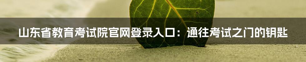 山东省教育考试院官网登录入口：通往考试之门的钥匙