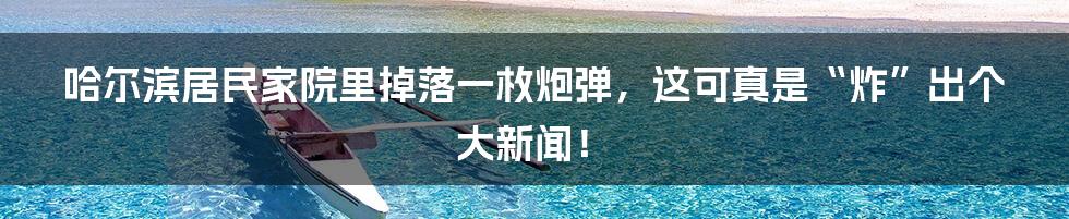 哈尔滨居民家院里掉落一枚炮弹，这可真是“炸”出个大新闻！