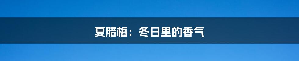 夏腊梅：冬日里的香气