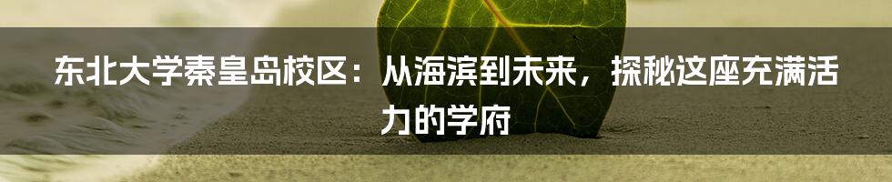 东北大学秦皇岛校区：从海滨到未来，探秘这座充满活力的学府