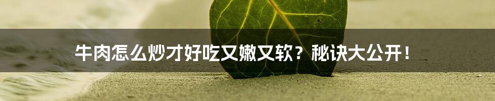 牛肉怎么炒才好吃又嫩又软？秘诀大公开！