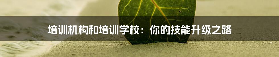 培训机构和培训学校：你的技能升级之路