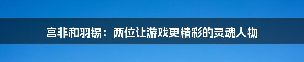 宫非和羽锡：两位让游戏更精彩的灵魂人物