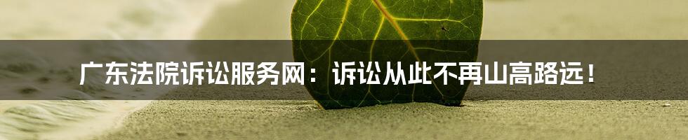 广东法院诉讼服务网：诉讼从此不再山高路远！