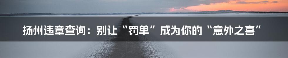 扬州违章查询：别让“罚单”成为你的“意外之喜”