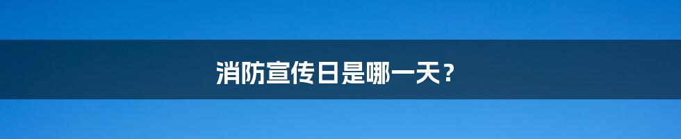 消防宣传日是哪一天？