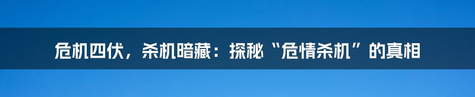 危机四伏，杀机暗藏：探秘“危情杀机”的真相