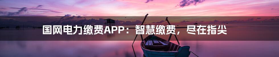 国网电力缴费APP：智慧缴费，尽在指尖