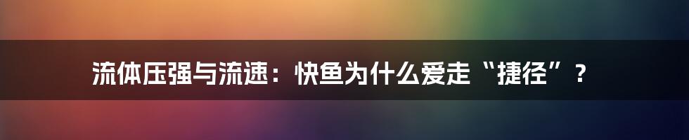 流体压强与流速：快鱼为什么爱走“捷径”？