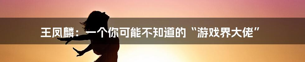 王凤麟：一个你可能不知道的“游戏界大佬”