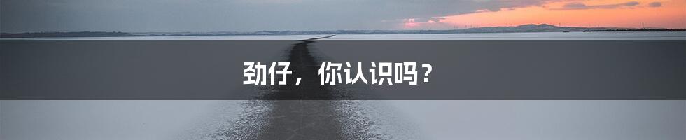 劲仔，你认识吗？