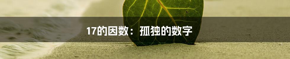 17的因数：孤独的数字