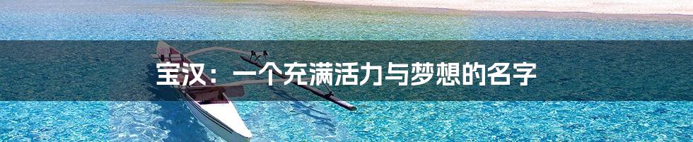 宝汉：一个充满活力与梦想的名字