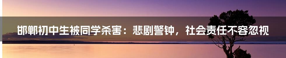 邯郸初中生被同学杀害：悲剧警钟，社会责任不容忽视