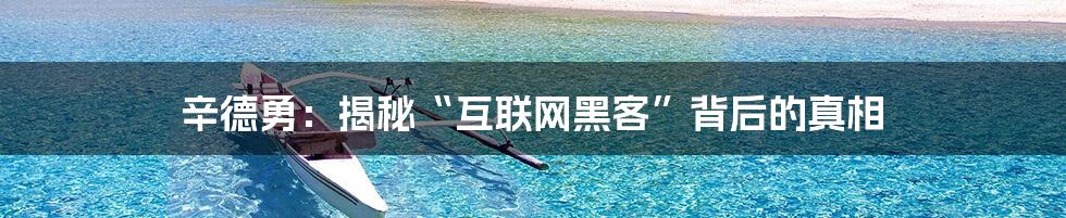 辛德勇：揭秘“互联网黑客”背后的真相