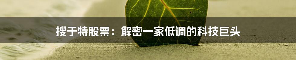 搜于特股票：解密一家低调的科技巨头